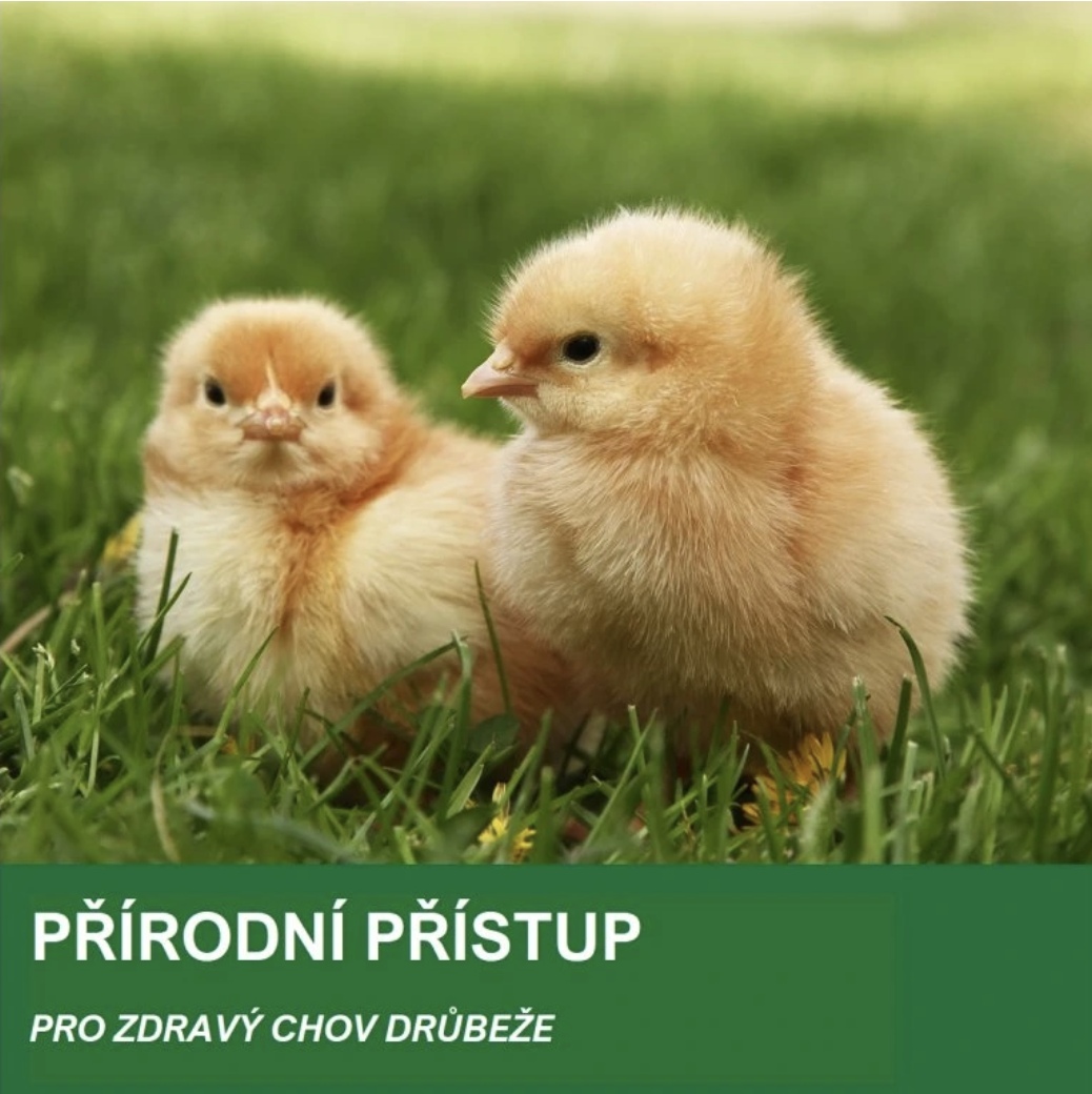 Screenshot 2026-02-04 at 16.41.15